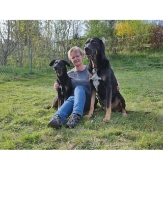 Thüringer Hundeschule